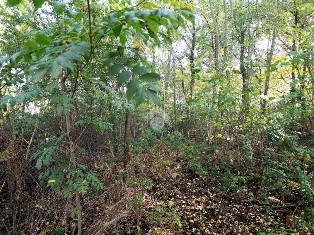 Terreno a Gattinara in Via Santhià - Foto 4