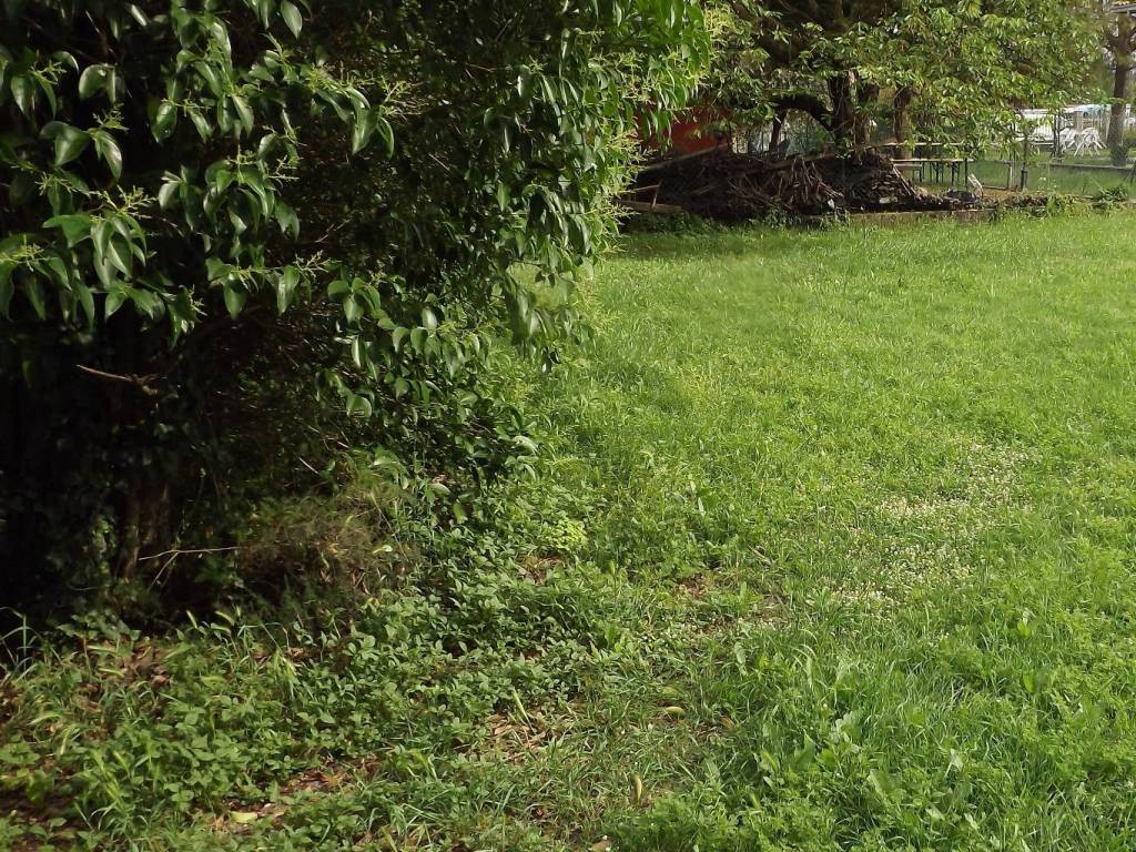 Terreno a Spoleto in Via delle Magnolie - Foto 2