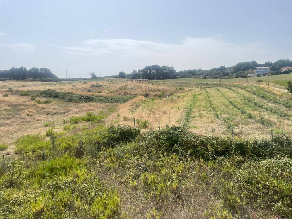 Villa a Petacciato - Foto 5