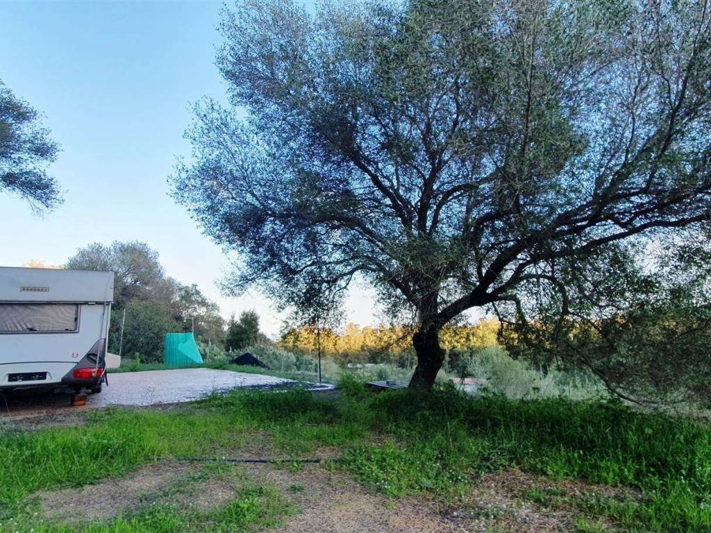 Terreno a Tortolì - Foto 2