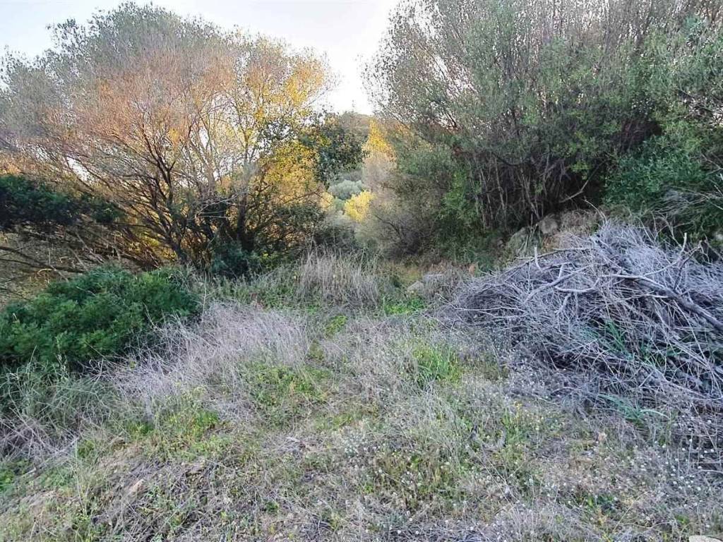 Terreno a Tortolì - Foto 5