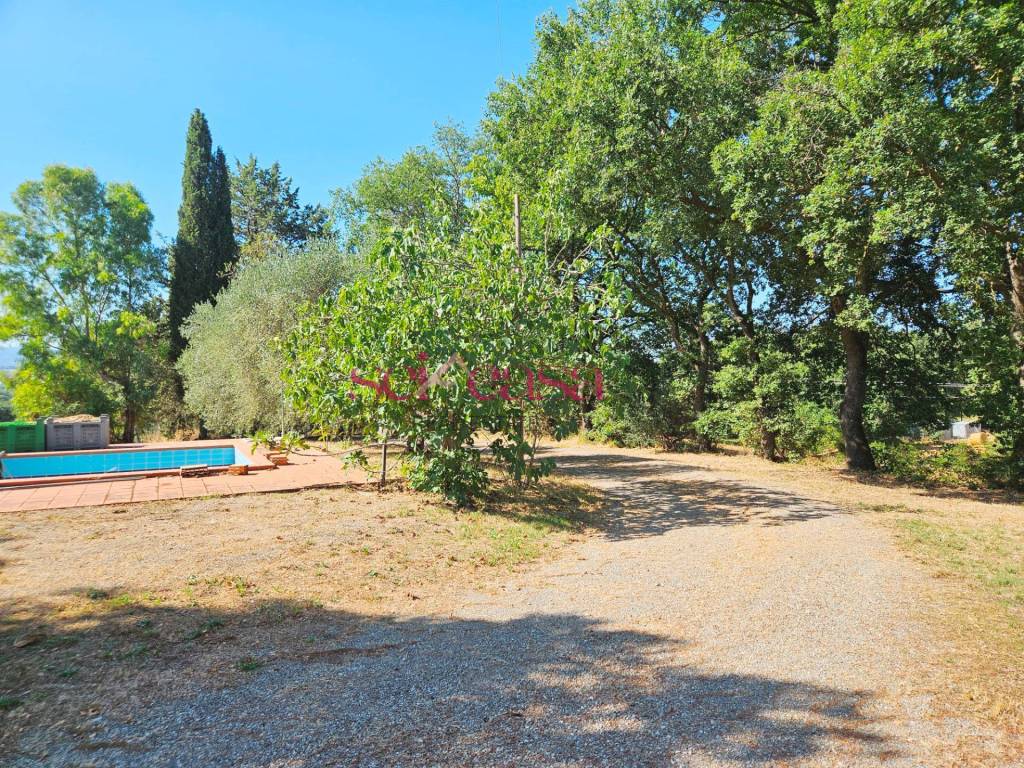 Rustico / casale a Campagnatico in Marrucheti - Campagnatico - Foto 4