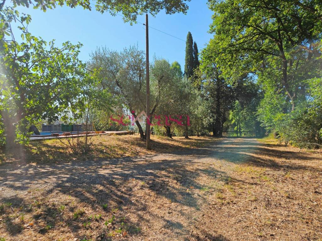 Rustico / casale a Campagnatico in Marrucheti - Campagnatico - Foto 5