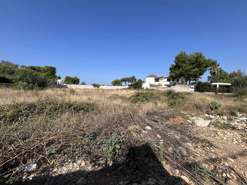 Terreno a Nardò in Strada Masserei - Foto 4