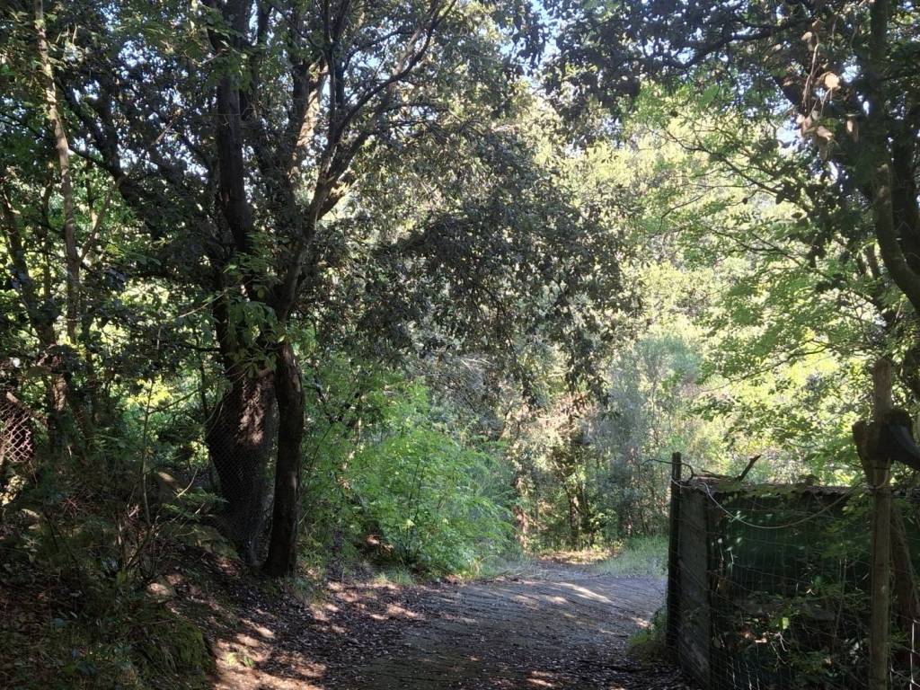 Villa a Finale ligure in Località Manie - Foto 4