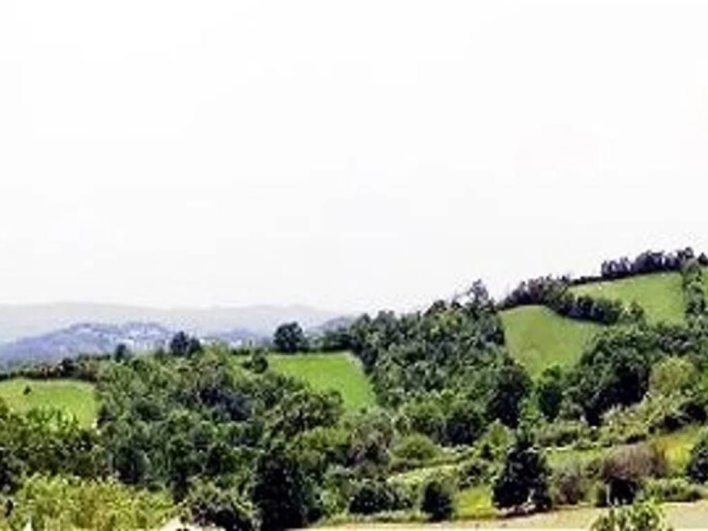 Rustico / casale a Sorano in Strada Provinciale Montevitozzo S.N.C. - Foto 3