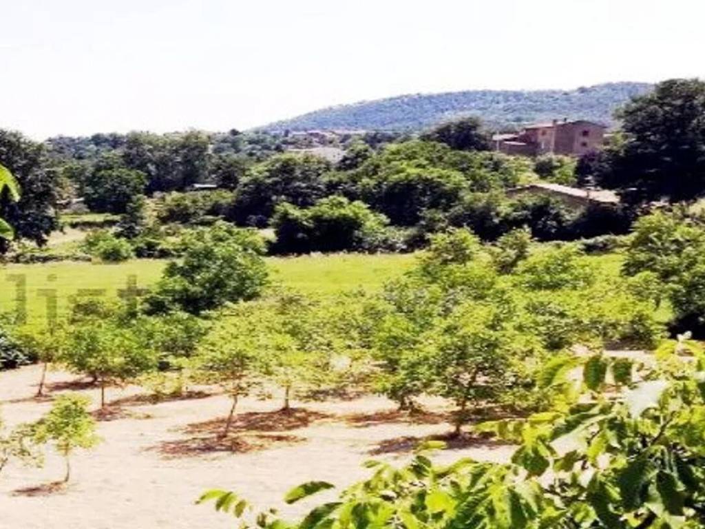 Rustico / casale a Sorano in Strada Provinciale Montevitozzo S.N.C. - Foto 4