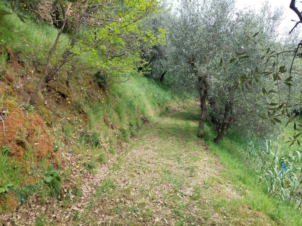 Terreno a Serravalle pistoiese in Via Castellina - Foto 2