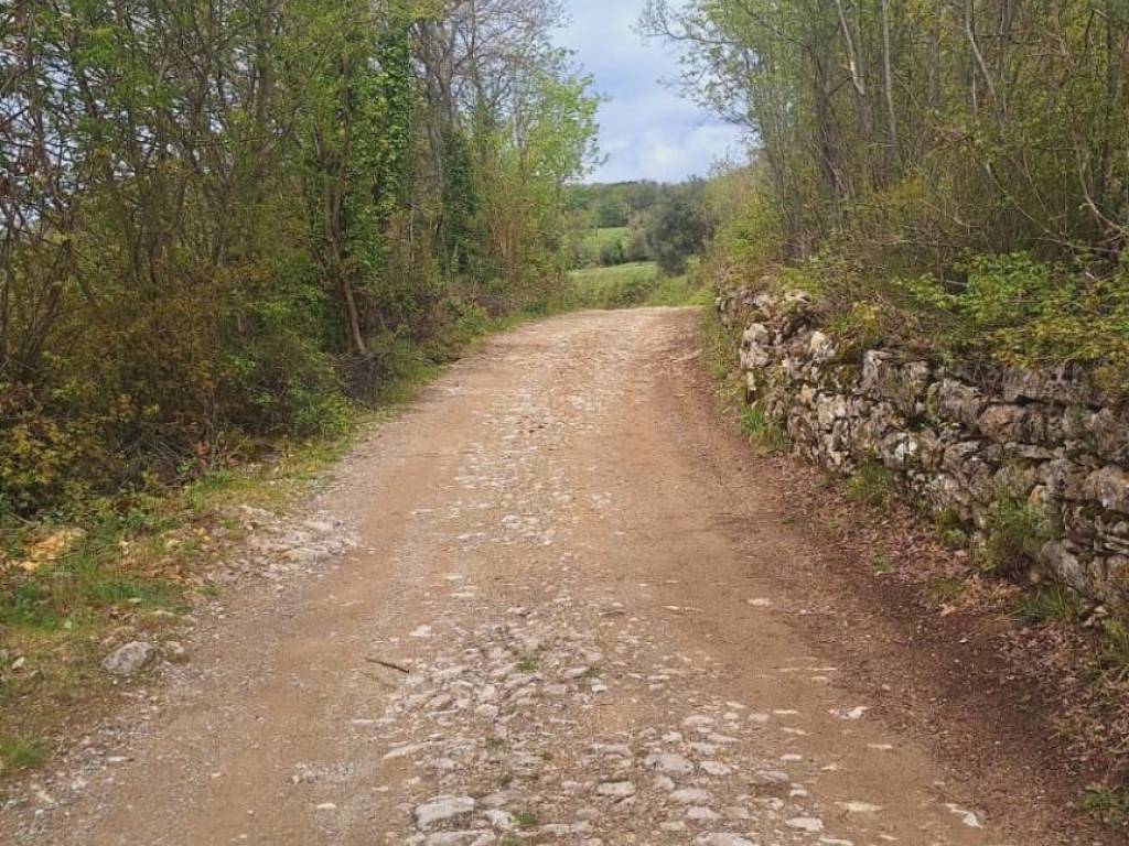 Immobile a Semproniano in Strada Provinciale di Fibbianello - Foto 3