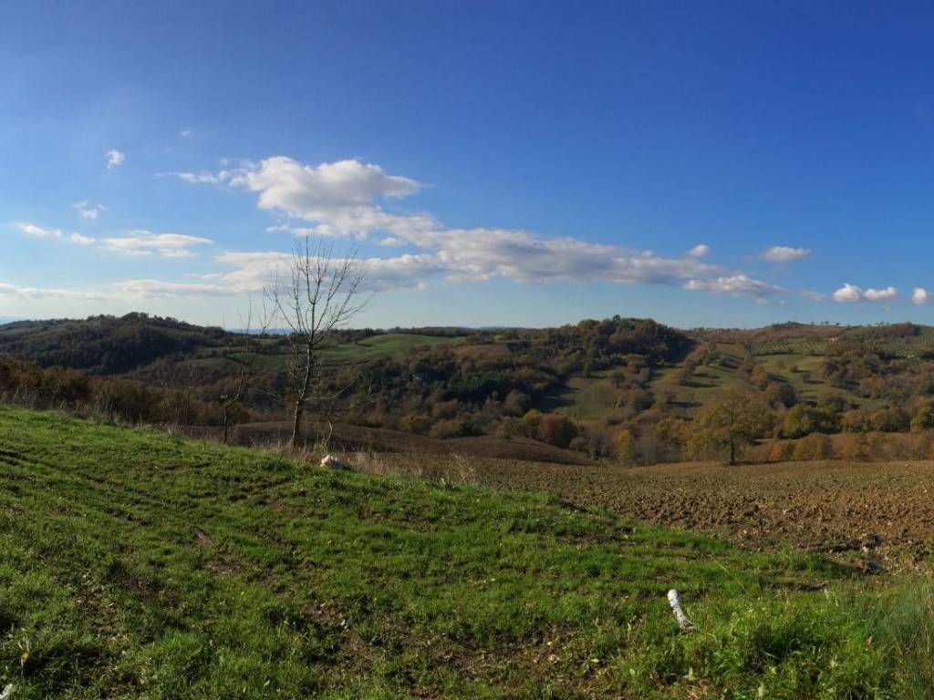 Casa indipendente a Semproniano in Strada Provinciale Sovana - Foto 2