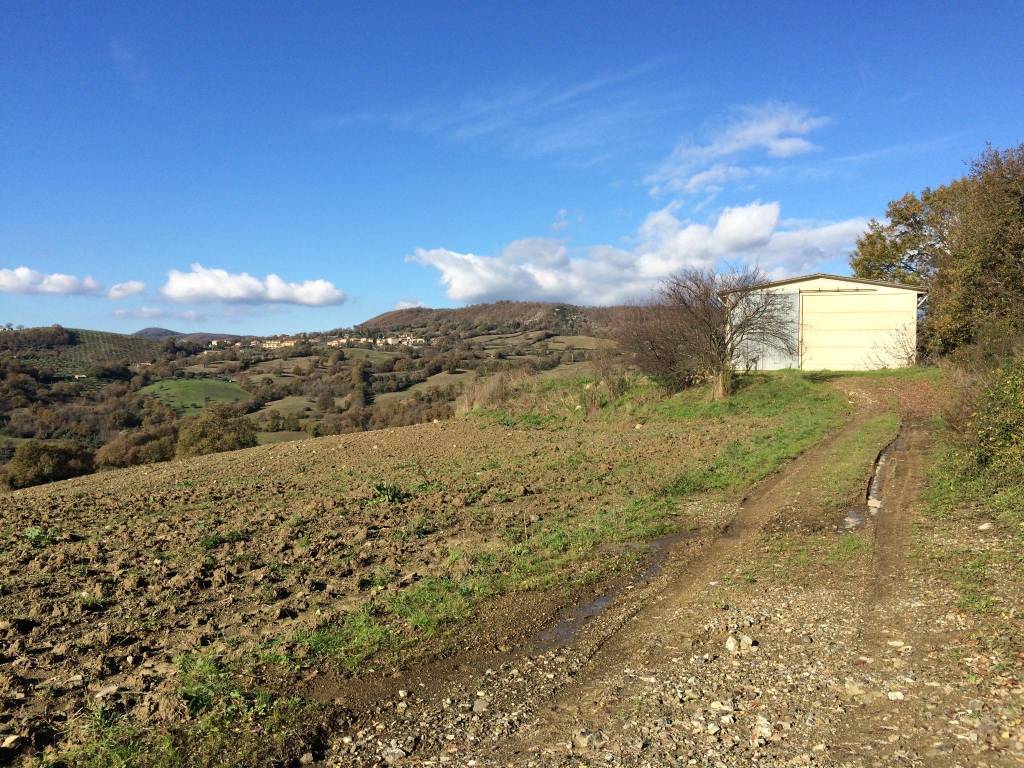 Casa indipendente a Semproniano in Strada Provinciale Sovana - Foto 3