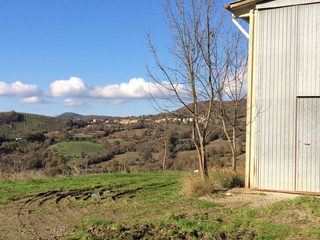 Casa indipendente a Semproniano in Strada Provinciale Sovana - Foto 4