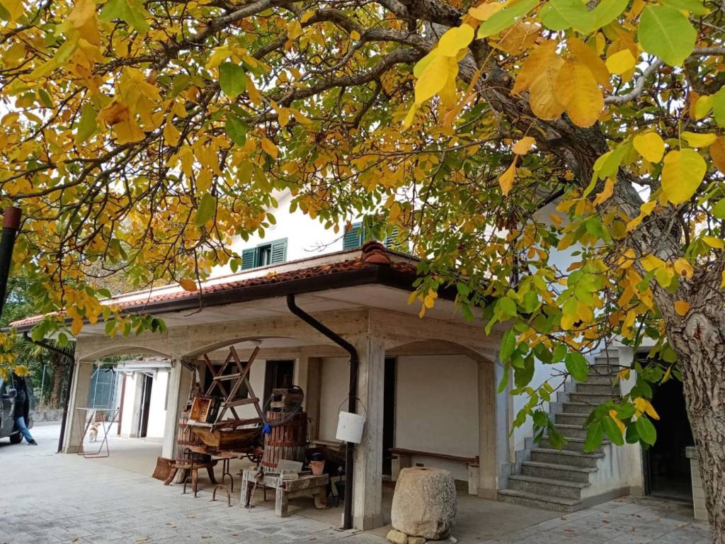 Villa a Mirabello sannitico in c.da stretta dei Monaci, snc - Foto 2