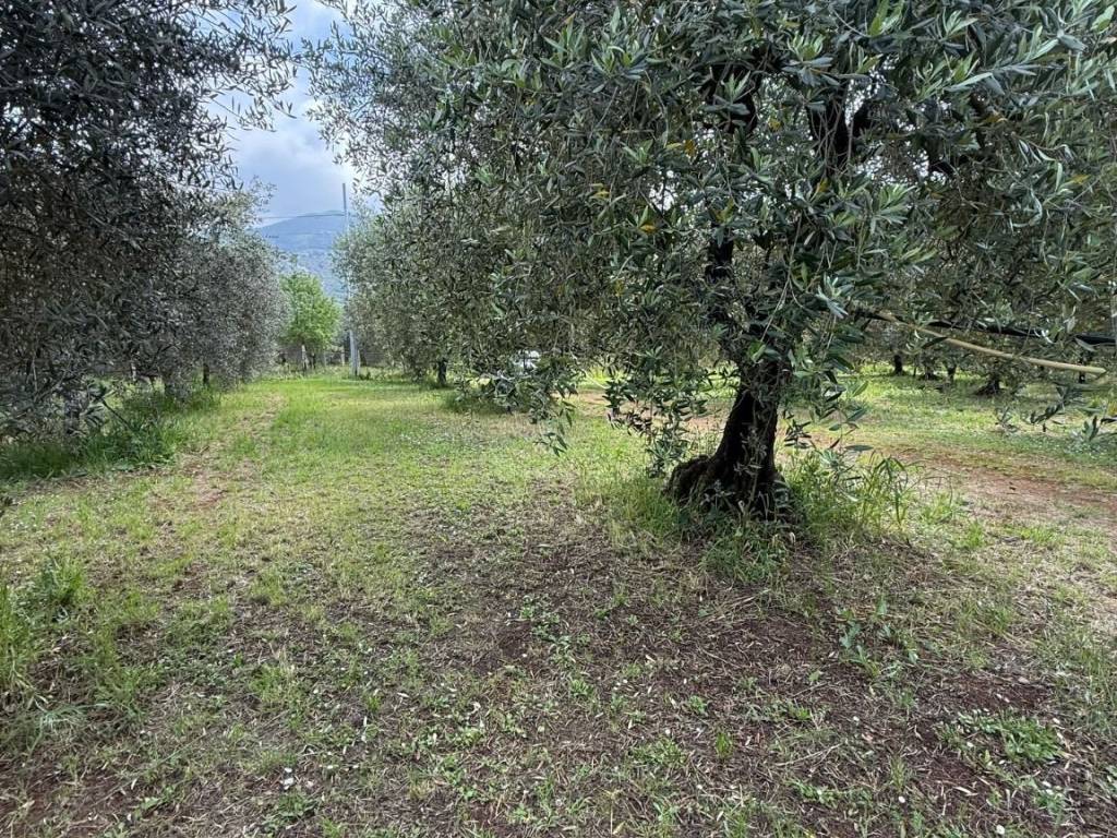 Terreno a Cori in Via Castellone - Foto 4