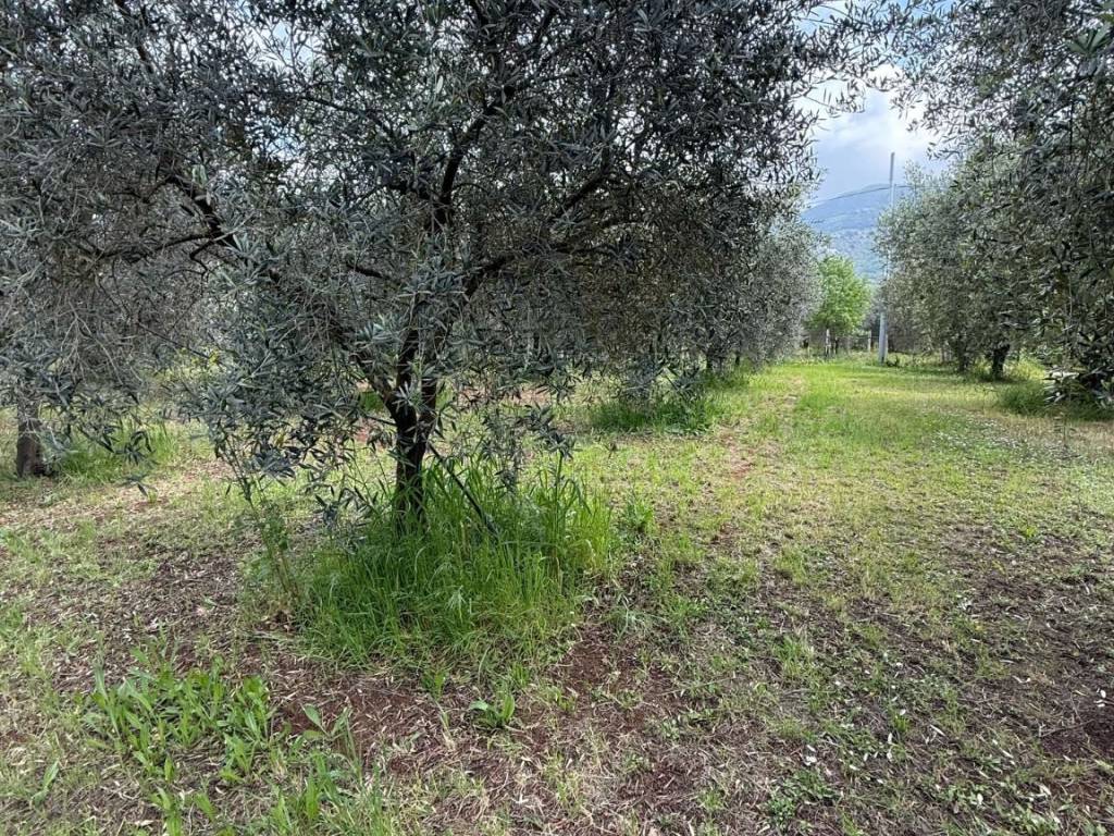 Terreno a Cori in Via Castellone - Foto 5