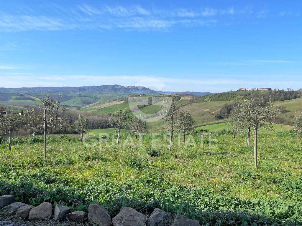 Rustico / casale a Montalcino - Foto 5