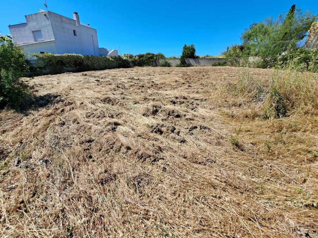 Terreno a Nardò in Via Cosimo Zacchino - Foto 5