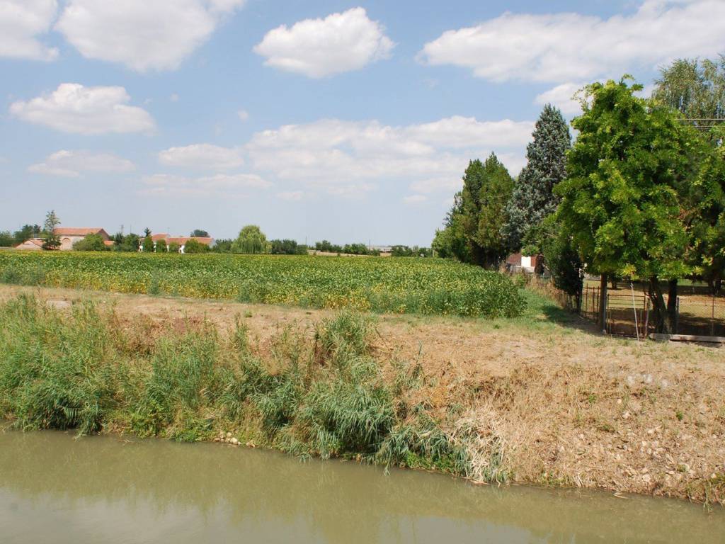Terreno a Villamarzana in VILLAMARZANA Via Aldo Moro, 0 - Foto 4