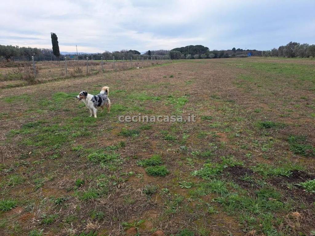Terreno a Rosignano marittimo in Via La Valle - Foto 3