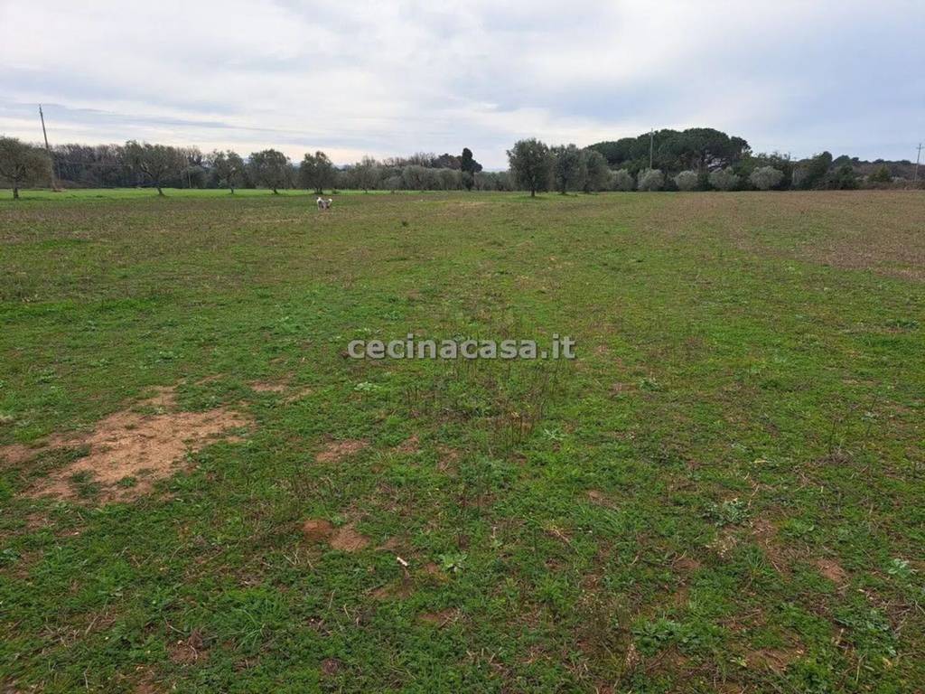 Terreno a Rosignano marittimo in Via La Valle - Foto 5