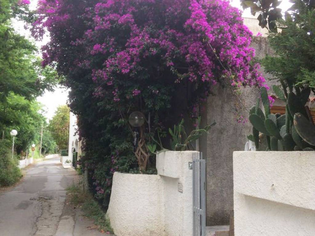 Villa a Diamante in SP15 - Foto 2