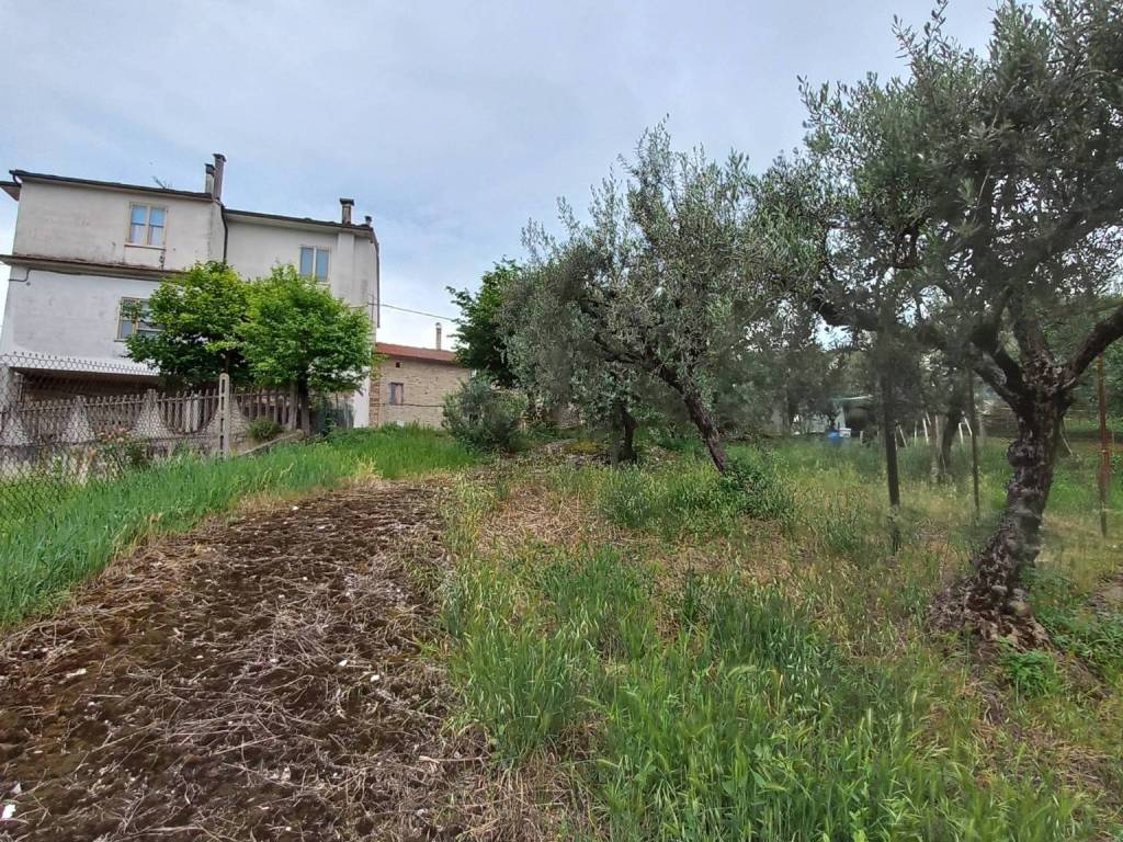 Casa indipendente a Massa fermana in via san giuseppe, 12 - Foto 3