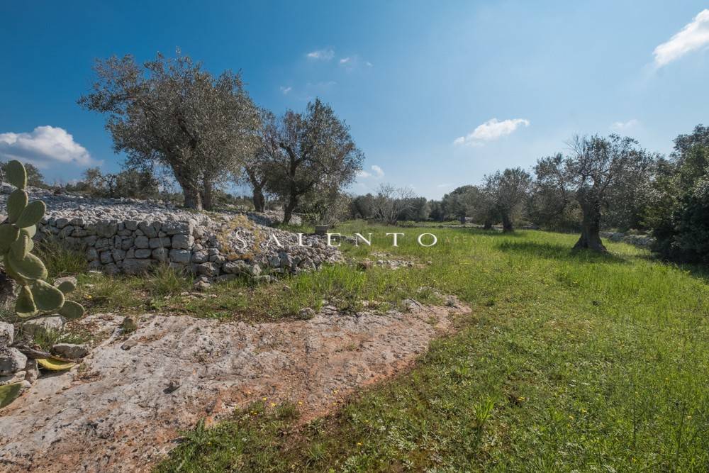Villa a Morciano di leuca in Contrada Cantoro - Foto 4