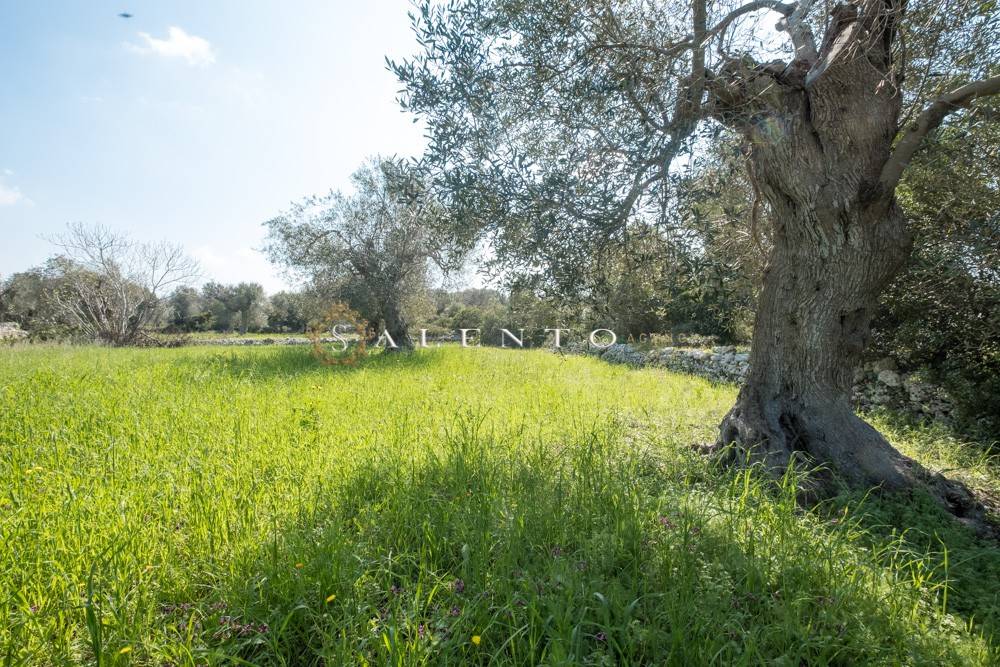 Villa a Morciano di leuca in Contrada Cantoro - Foto 5