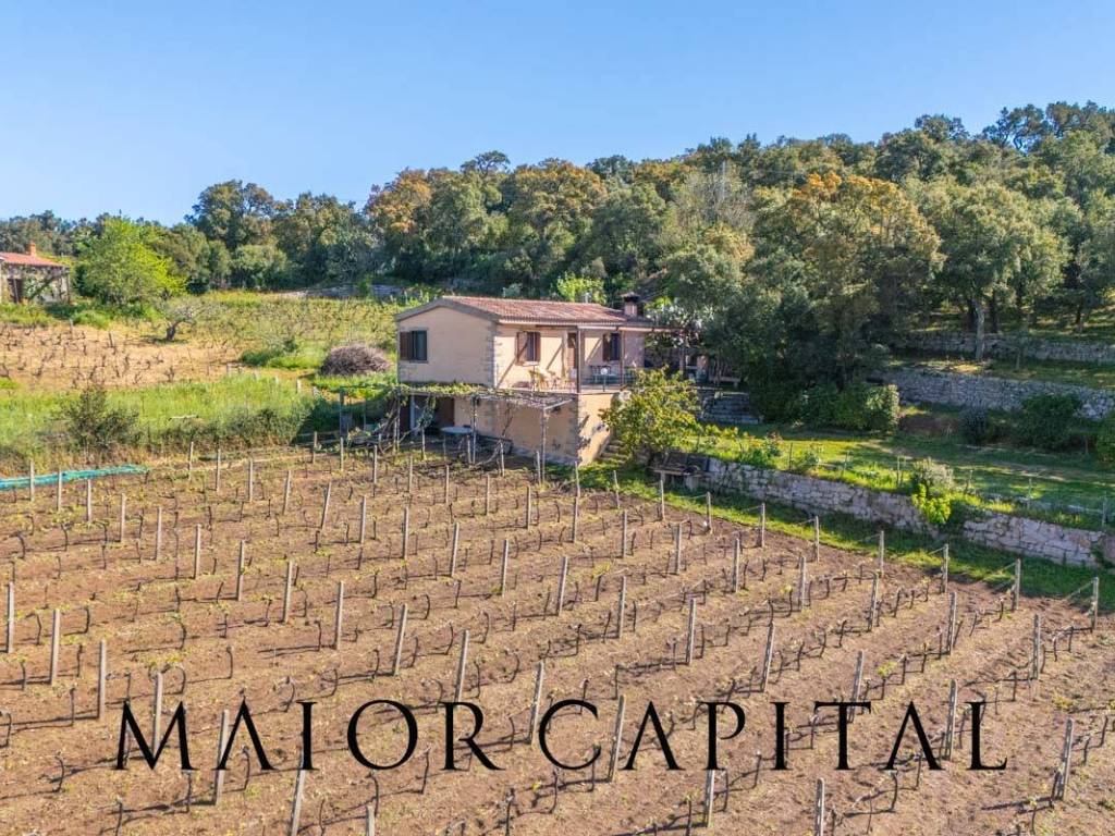 Casa indipendente a Calangianus in Loc. la Talga - Foto 2