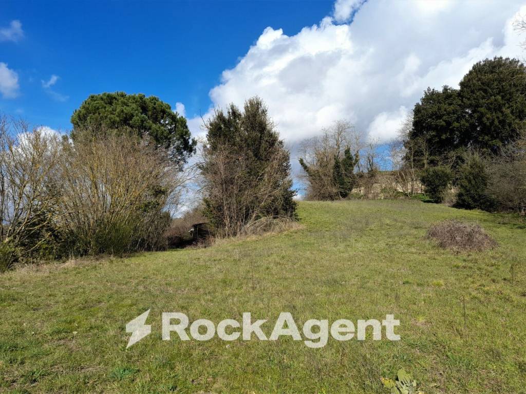 Terreno a Acquapendente in Località la Villa snc - Foto 4