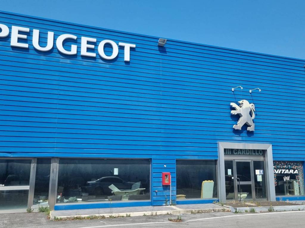 immagine di copertina