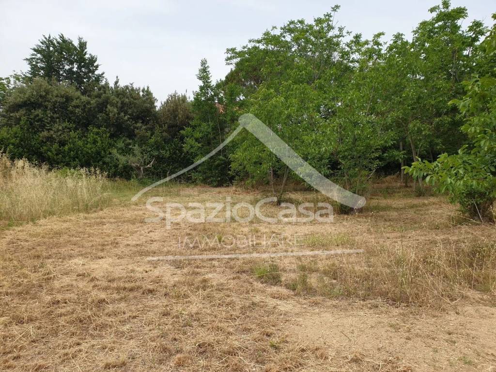 Terreno a Città sant'angelo in Viale Colle Delle More S.N.C. - Foto 4
