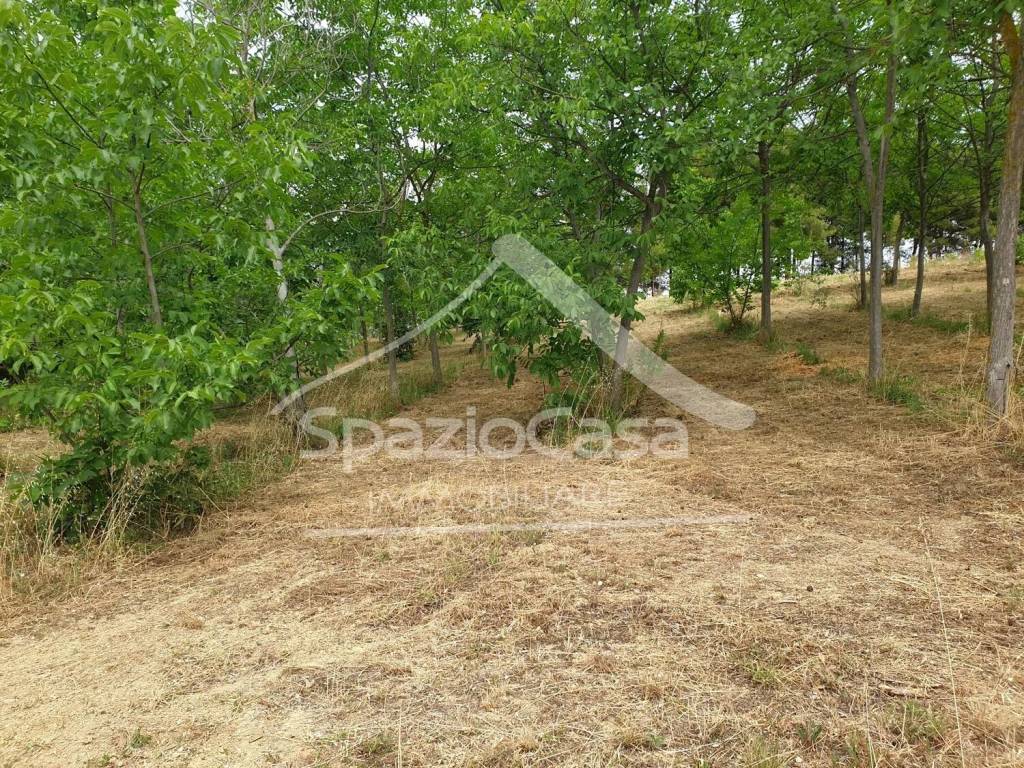 Terreno a Città sant'angelo in Viale Colle Delle More S.N.C. - Foto 5