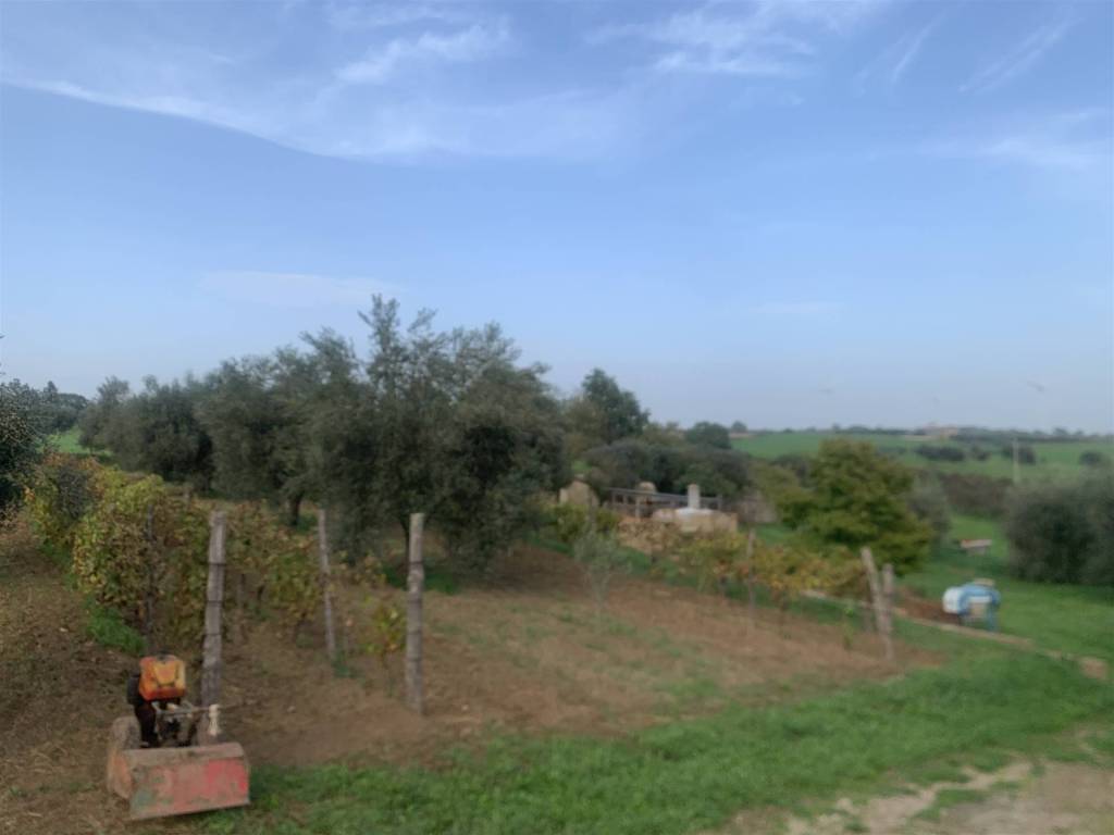 Rustico / casale a Tuscania - Foto 4