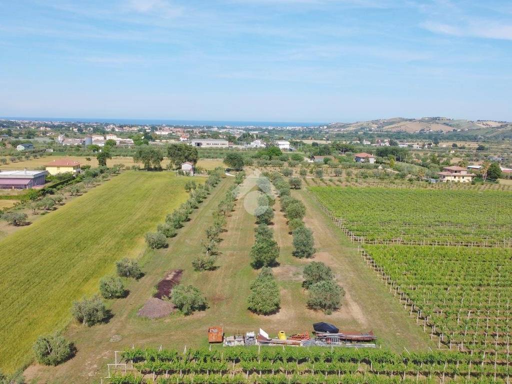 Terreno a Mosciano sant'angelo in Via Santa Maria Dell'Arco, 26 - Foto 2