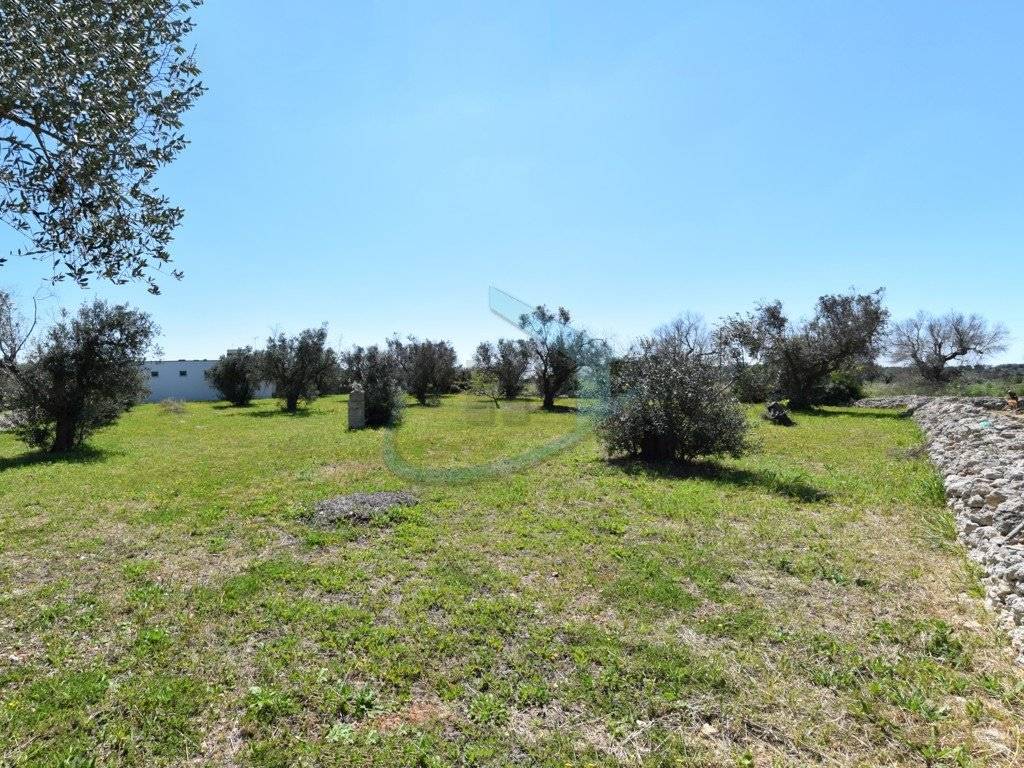 Terreno a Castrignano del capo in Via Aldo Moro - Foto 3