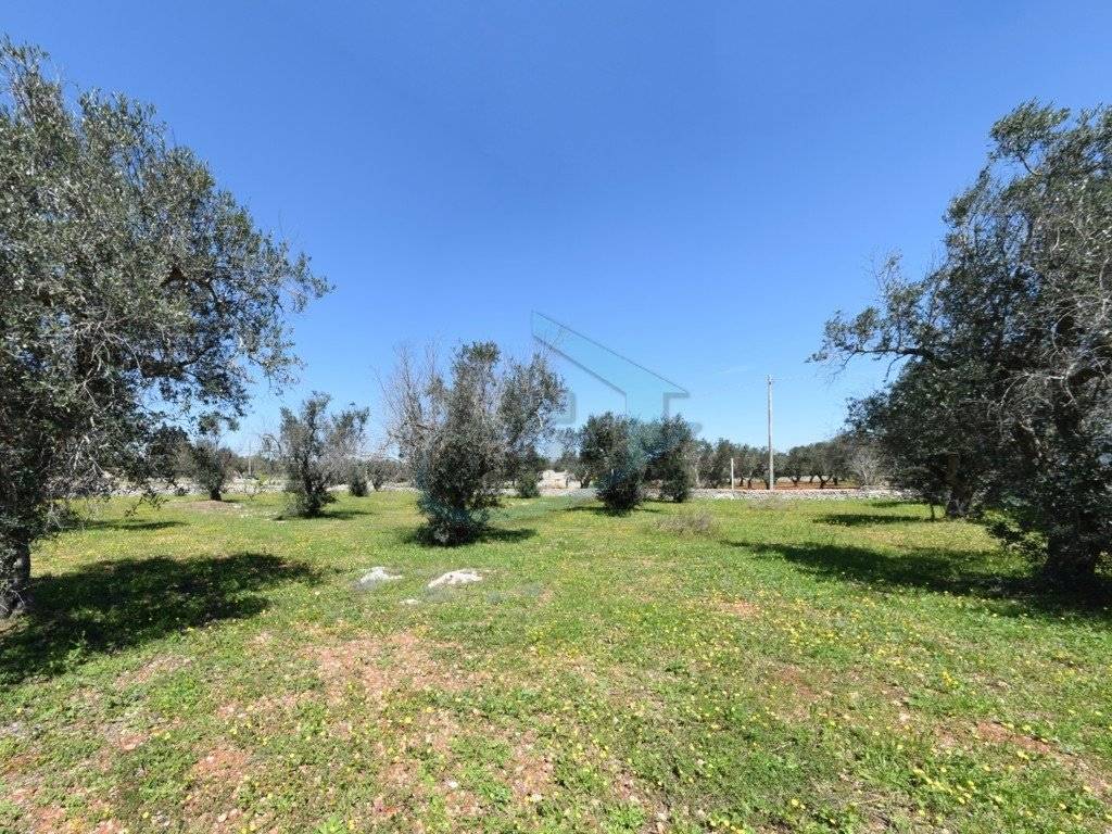 Terreno a Castrignano del capo in Via Aldo Moro - Foto 5