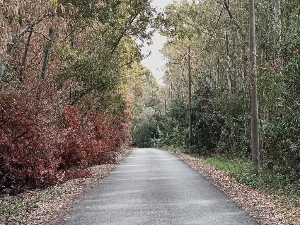 Terreno a Alghero in Località Sa Sagada, 22 - Foto 3