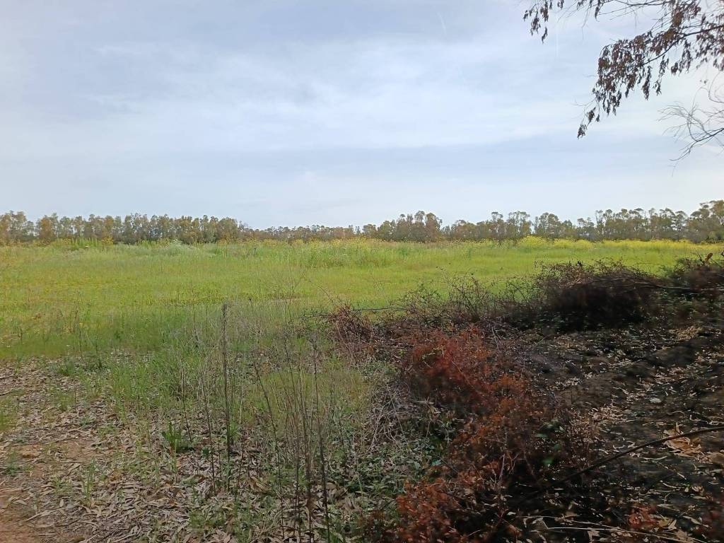 Terreno a Alghero in Località Sa Sagada, 22 - Foto 4