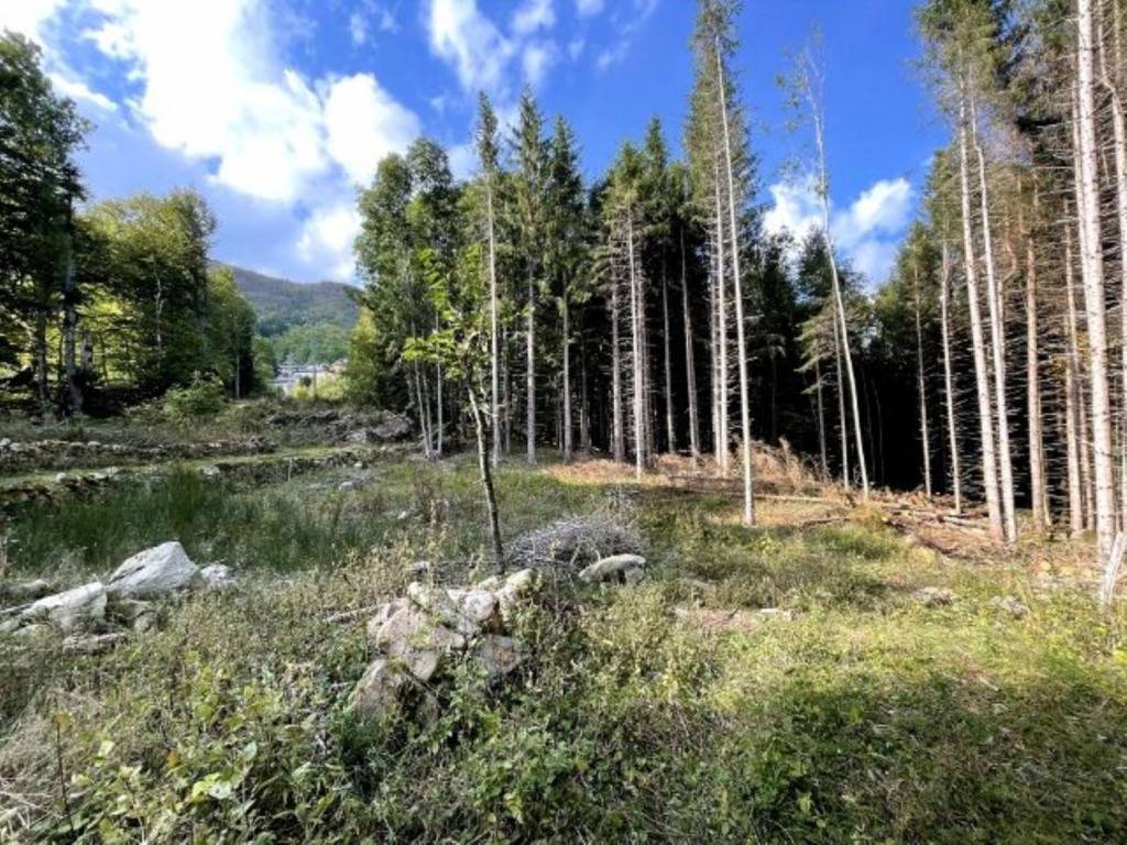 Terreno a Pievepelago in Via Lago Santo, 34 - Foto 2