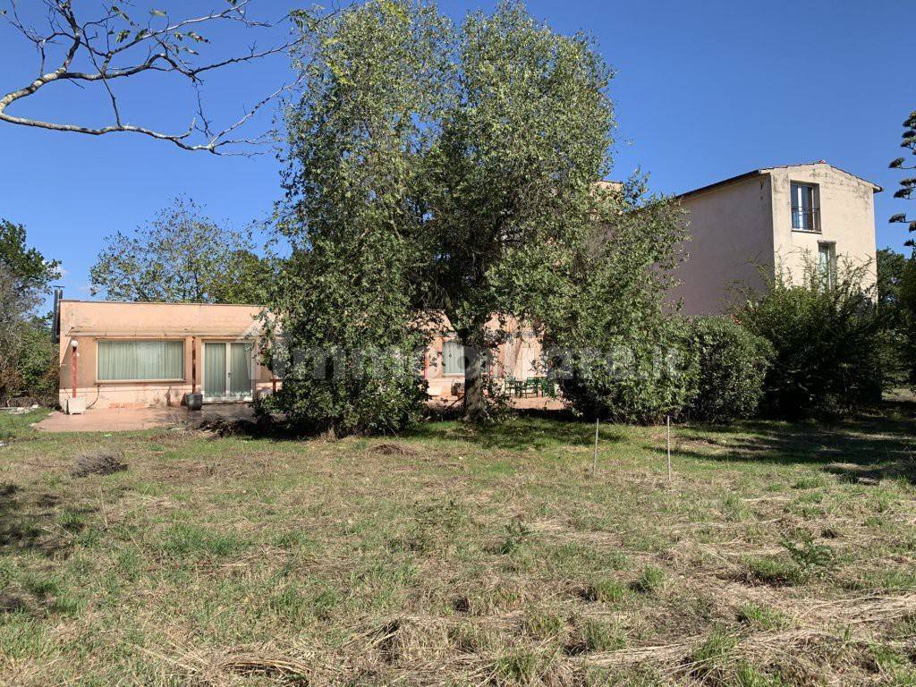 Villa a Gallese - Foto 3