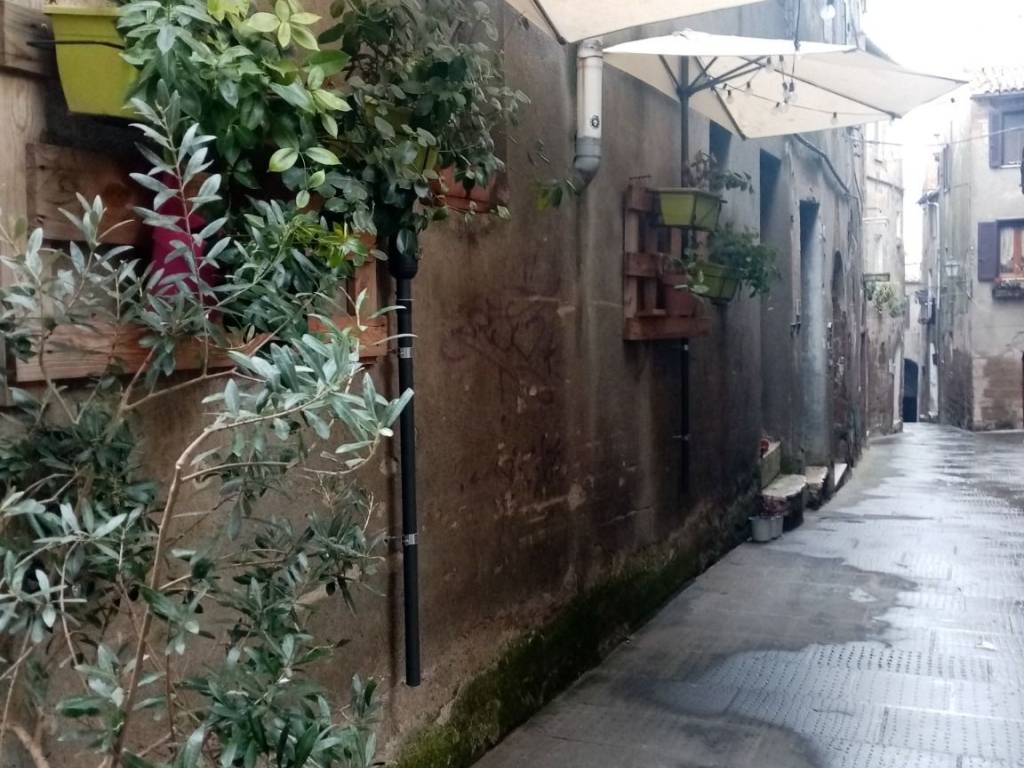 Casa indipendente a Pitigliano in Vicolo Volturno - Foto 3