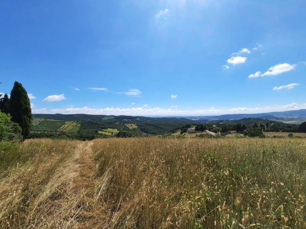 Terreno a Castellina marittima in Via Roma - Foto 2