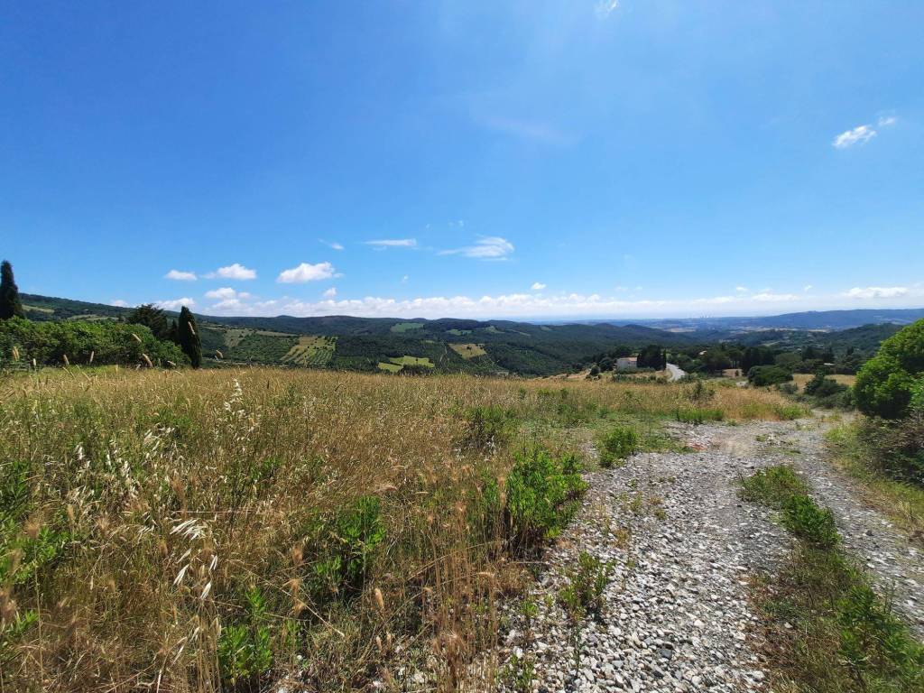 Terreno a Castellina marittima in Via Roma - Foto 4