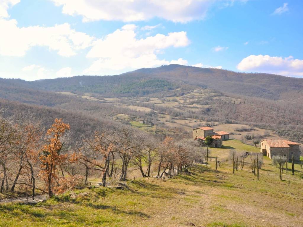Rustico / casale a Piegaro in piegaro - Foto 3
