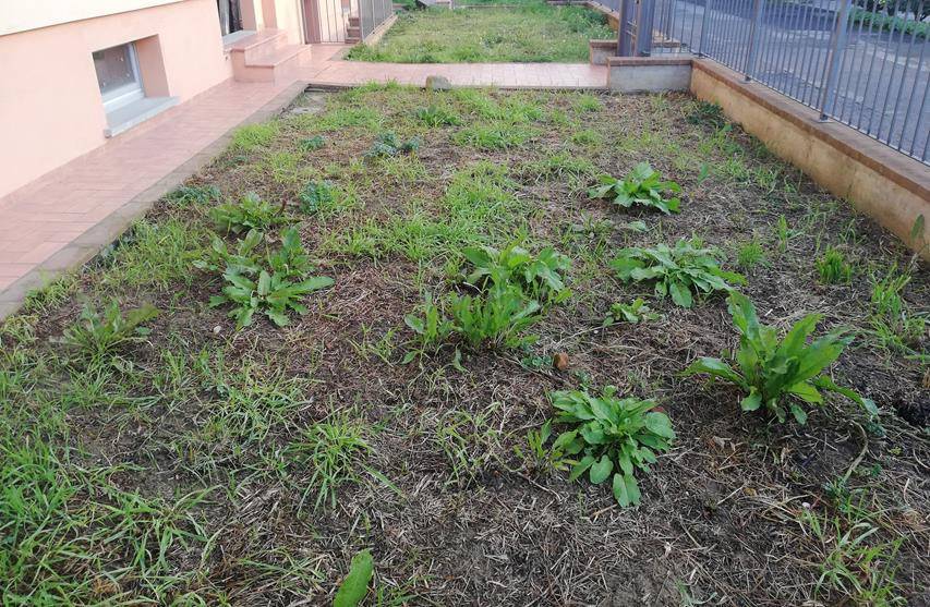 Appartamento a Marciano della chiana in cesa - Foto 3