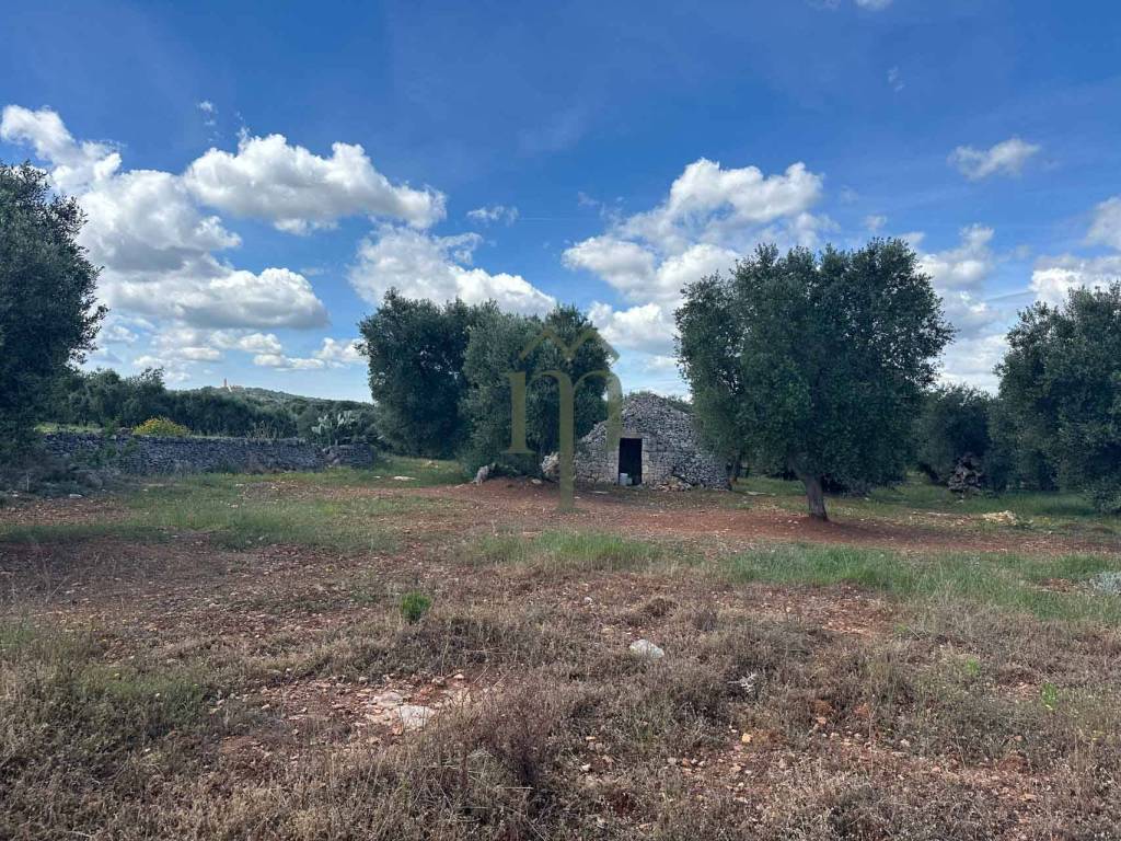 Rustico / casale a Ostuni in Contrada Lamacavallo Conca d'Oro Pinto - Foto 2