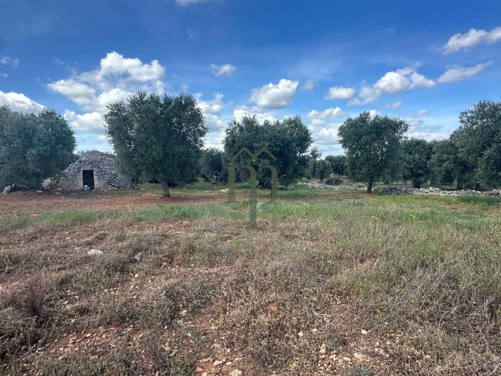Rustico / casale a Ostuni in Contrada Lamacavallo Conca d'Oro Pinto - Foto 3
