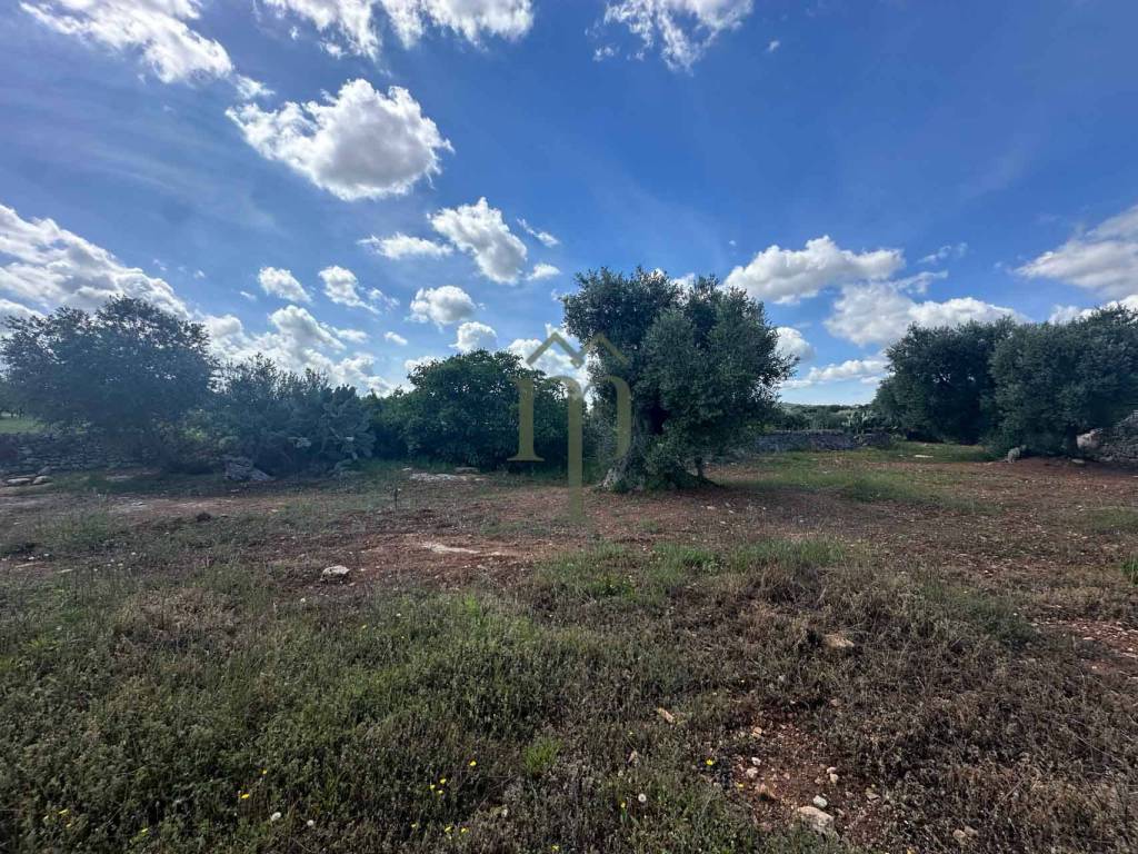 Rustico / casale a Ostuni in Contrada Lamacavallo Conca d'Oro Pinto - Foto 5