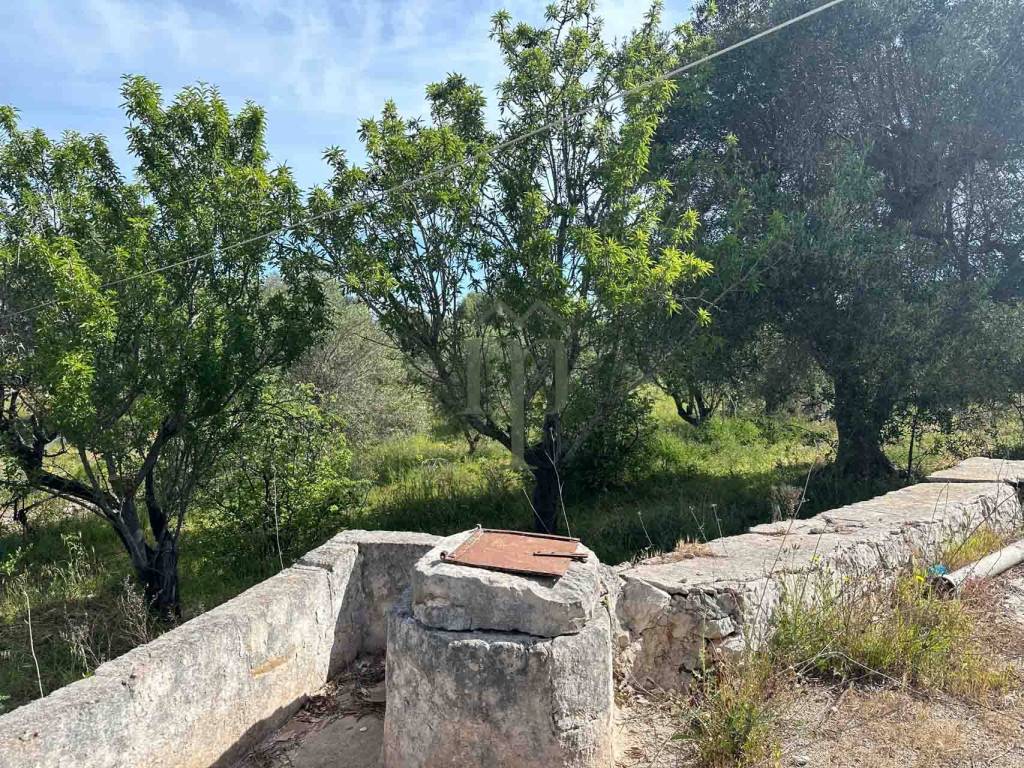 Rustico / casale a Ostuni in Contrada Tamburroni - Foto 4